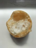 IMG20250328123630.jpg IMG20250328123630.jpg