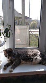 изображение_viber_2025-04-19_16-57-28-011.jpg