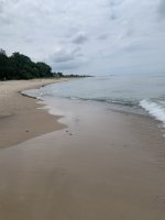 IMG_1263.jpeg