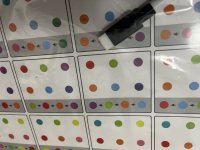 IMG_8995.jpeg