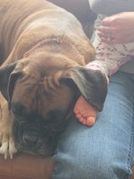 8134472955098154271.jpeg 8134472955098154271.jpeg