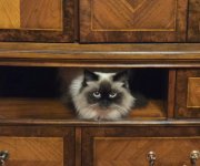 1764539819984.jpeg 1764539819984.jpeg