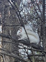 1000057255.jpg 1000057255.jpg