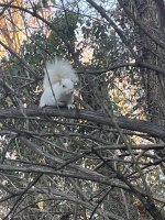 1000057254.jpg 1000057254.jpg