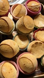 IMG_4125.jpeg