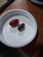 20260509_172831.jpg