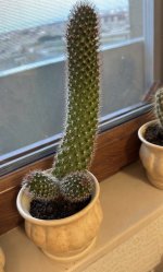 IMG_0430.jpeg