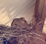 IMG_0136.jpeg
