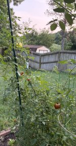 IMG_6148.jpeg