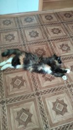 изображение_viber_2026-07-13_16-03-41-657.jpg